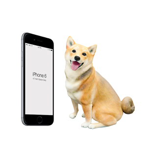 サイズ L : iPhone6との比較