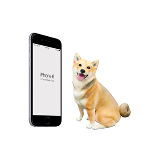 サイズ M : iPhone6との比較