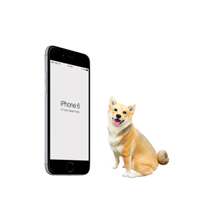 サイズ S : iPhone6との比較